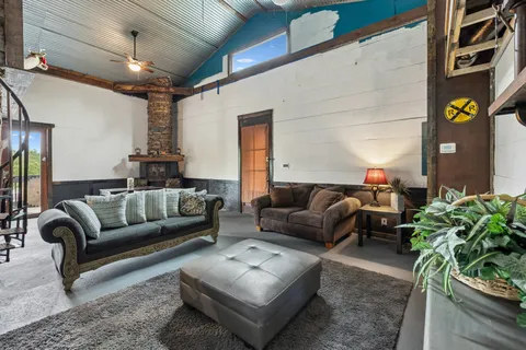 a living room with furniture and a potted plant