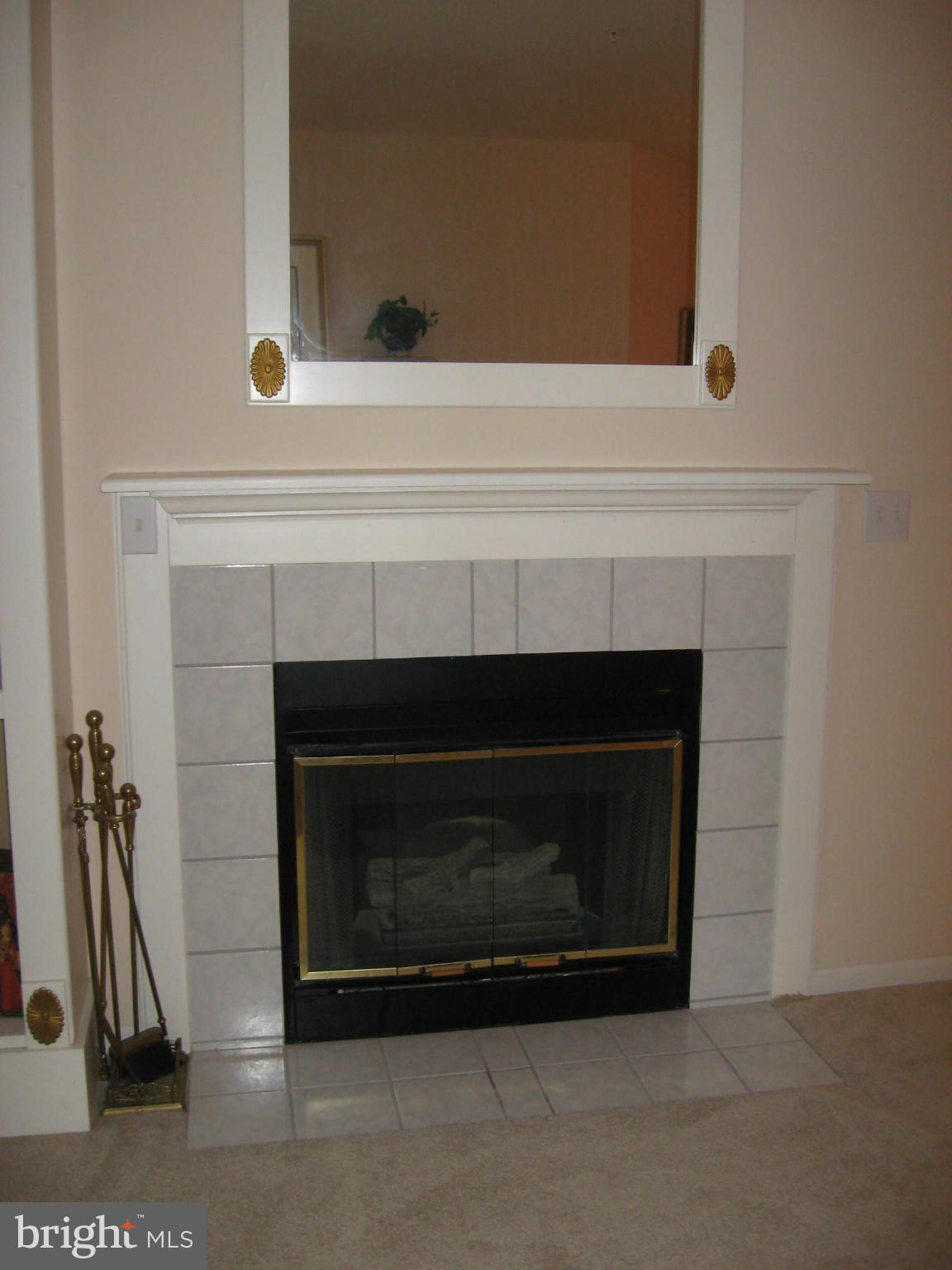 802 Runabout Loop Solomons, MD 20688 - Photo 5 of 28 Living Room - Natural Gas Fireplace