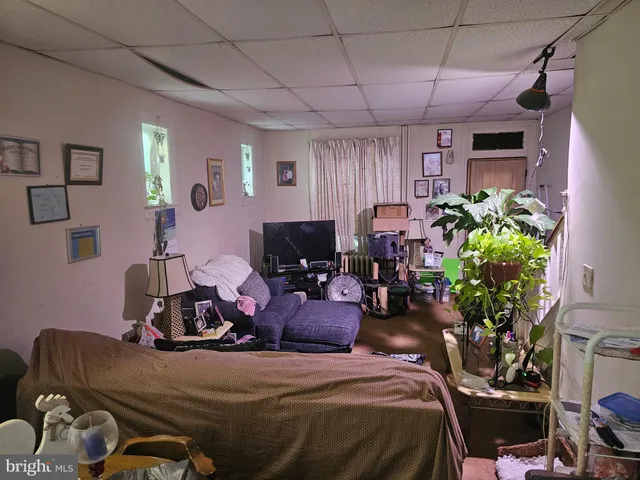 a bedroom with bed or couch and a potted plant