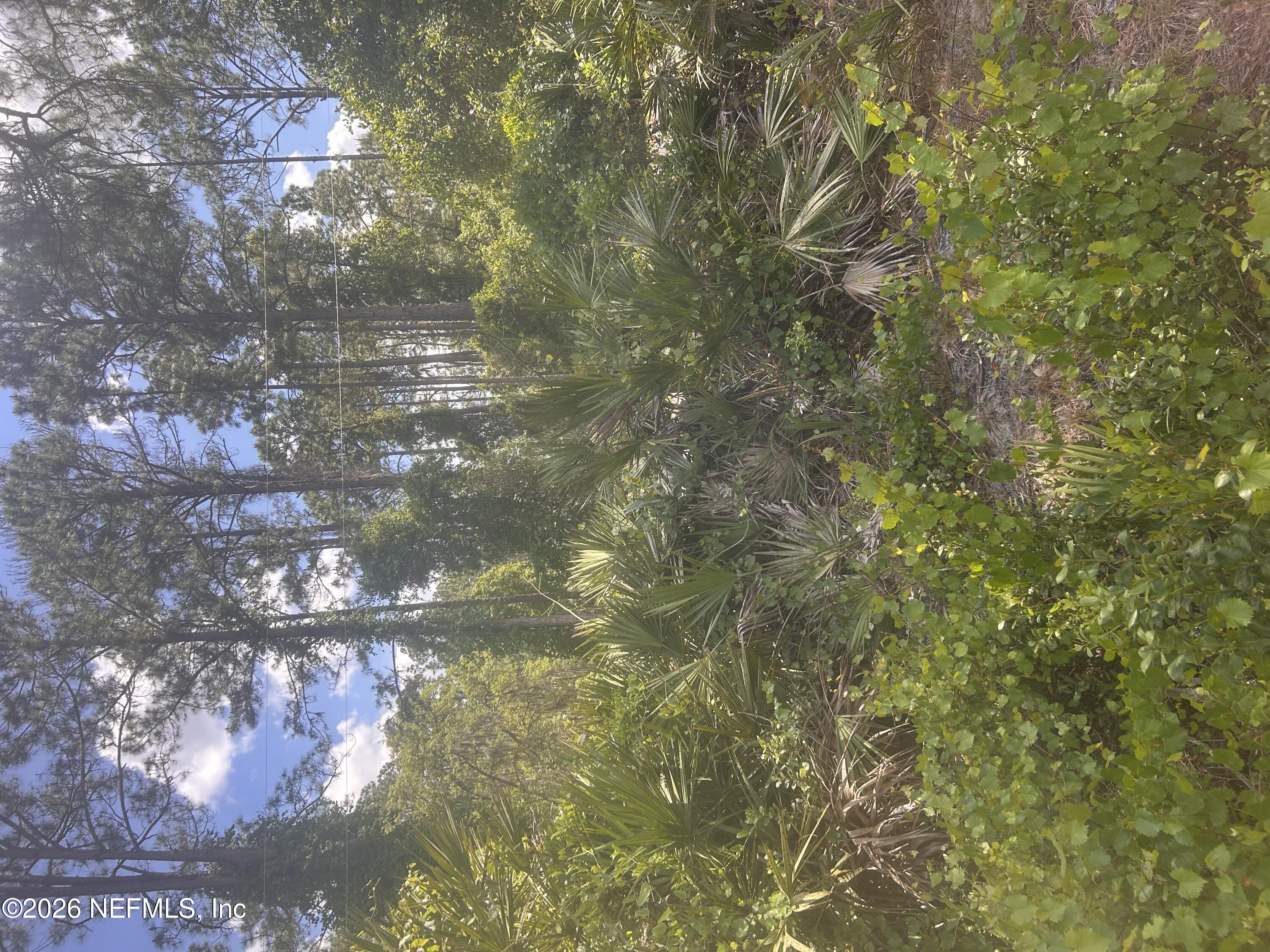 128 Forest Street Georgetown, FL 32139 - Photo 1 of 1 First pic