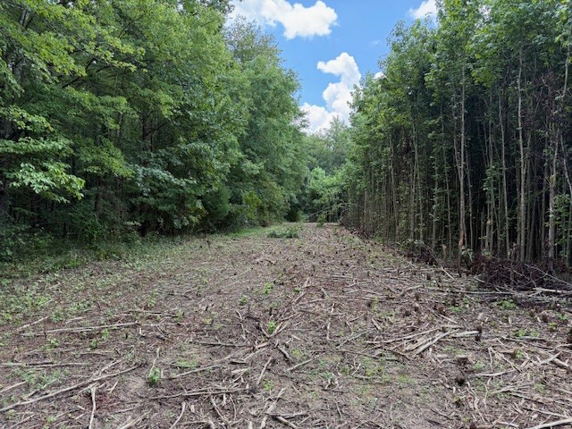 2103 Goforth Road Morrison, TN 37357 - Photo 3 of 4 a view of a yard with plants and large trees