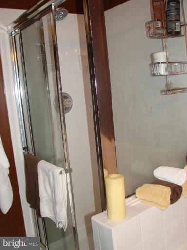 6313 Wind Rider Way Columbia, MD 21045 - Photo 14 of 25 Master Bath #2