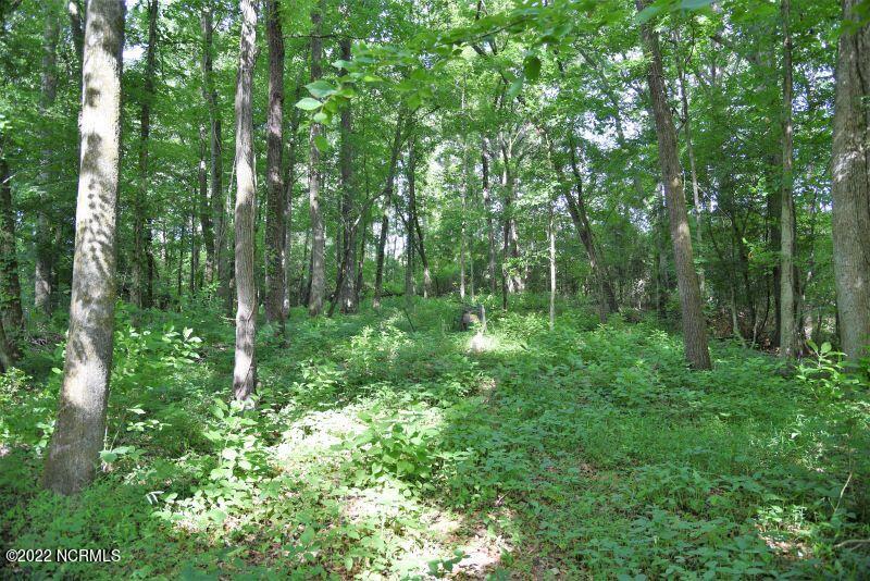 4311 Anderson Chapel Road Macclesfield, NC 27852 - Photo 8 of 21 09