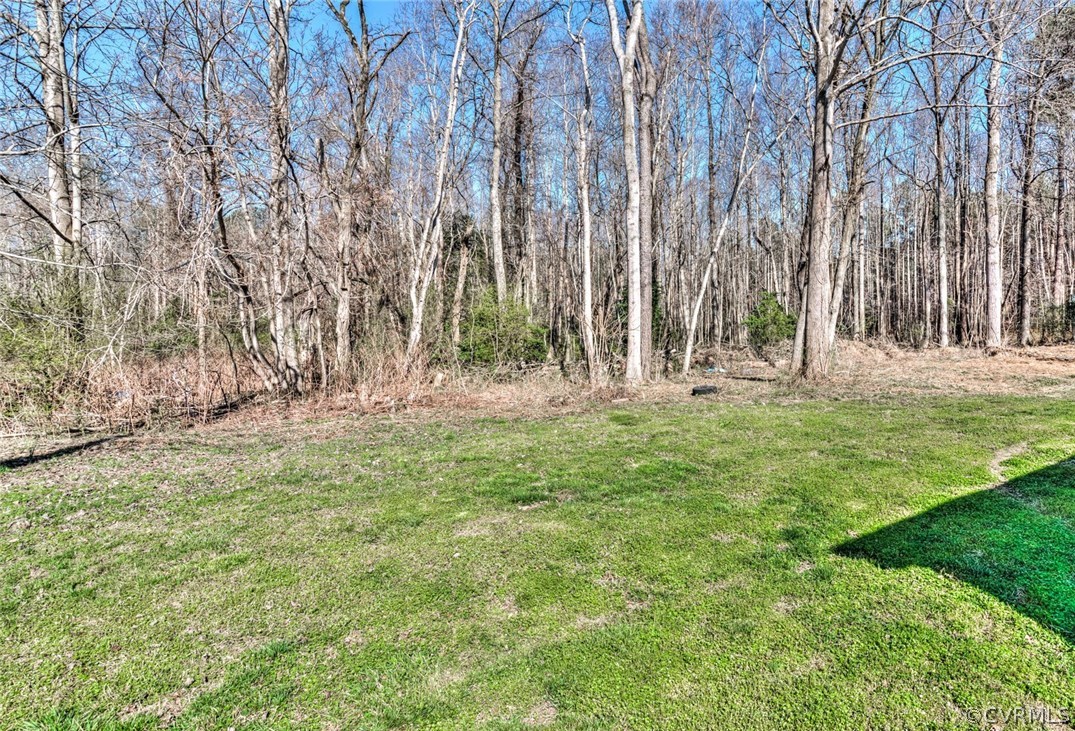 16311 Cooks Mill Road Lanexa, VA 23089 - Photo 10 of 23 Gallery Image 10