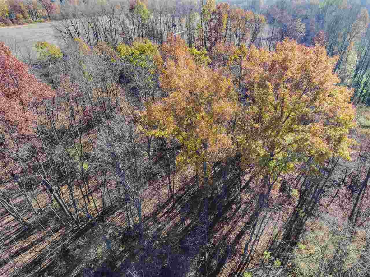 2921 Ludlow Road Albion, MI 49224 - Photo 8 of 26 Photo 8