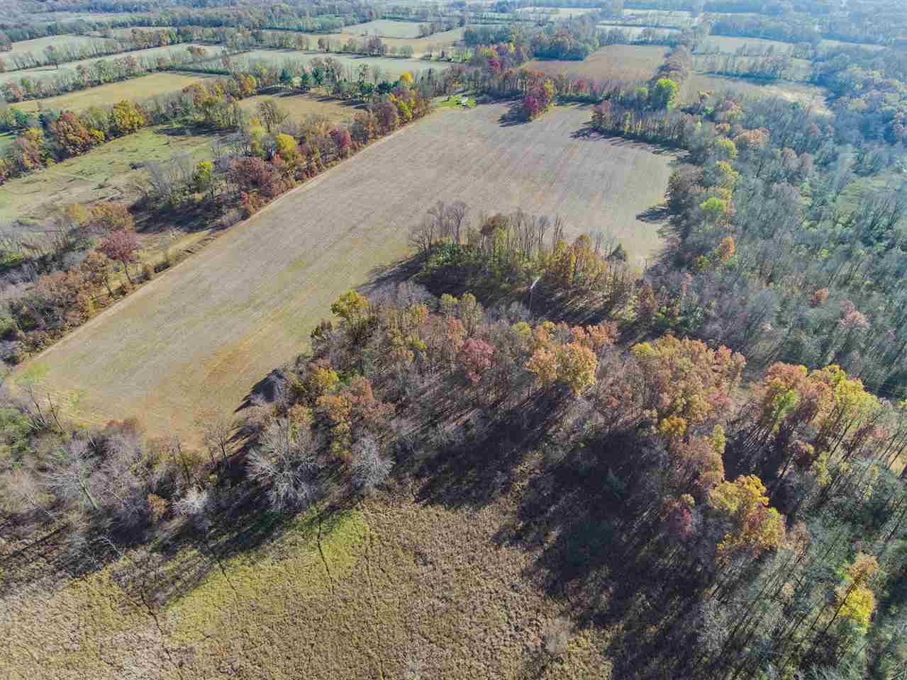2921 Ludlow Road Albion, MI 49224 - Photo 10 of 26 Photo 10