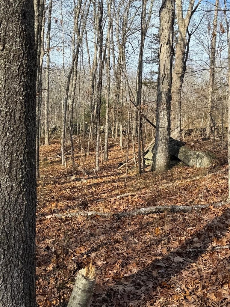 0 Hunting House Road Glocester, RI 02857 - Photo 7 of 12