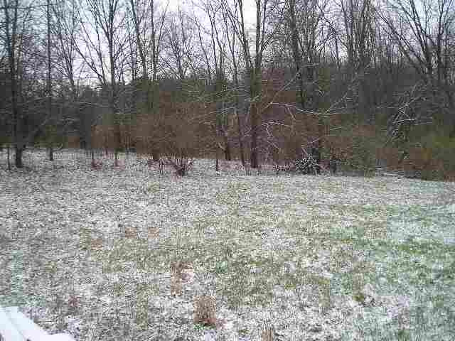 4431 Moscow Road Spring Arbor, MI 49283 - Photo 1 of 1 Photo 1