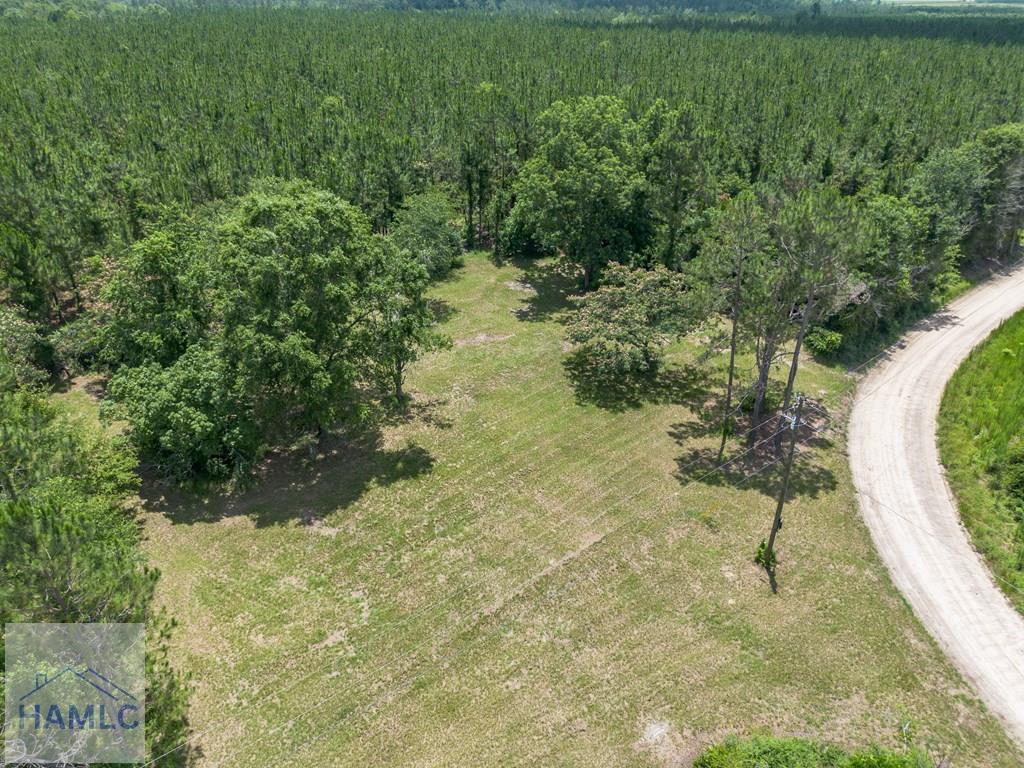 0 Oriole Road Odum, GA 31555 - Photo 8 of 24 Gallery Image 8