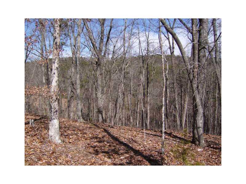3271 Red Trillium Ridge Big Canoe, GA 30143 - Photo 1 of 1 View. Beautiful mountain view from rear of property