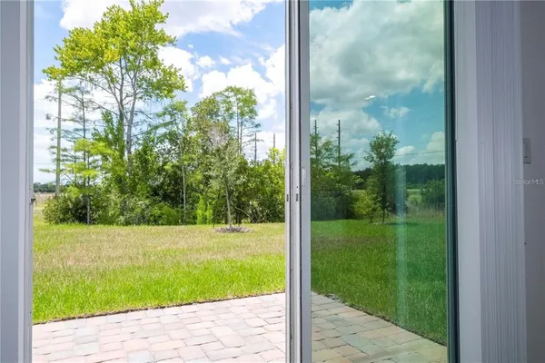 a view of a garden from a window