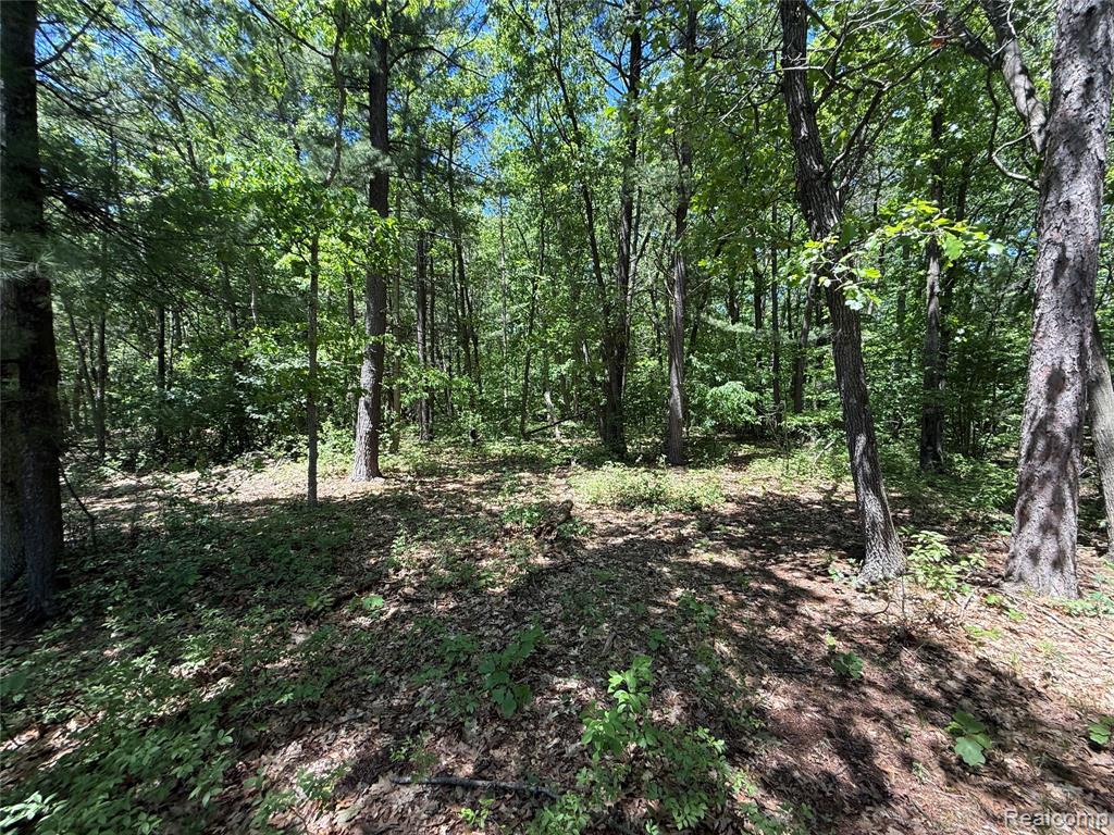 2620 Weaver Road Port Austin, MI 48467 - Photo 6 of 11