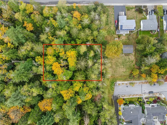 a view of a yard with an outdoor space