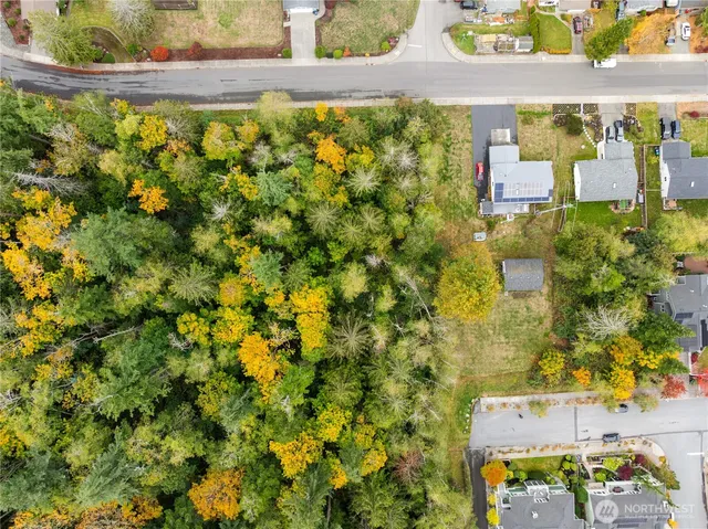 a view of a yard with plants