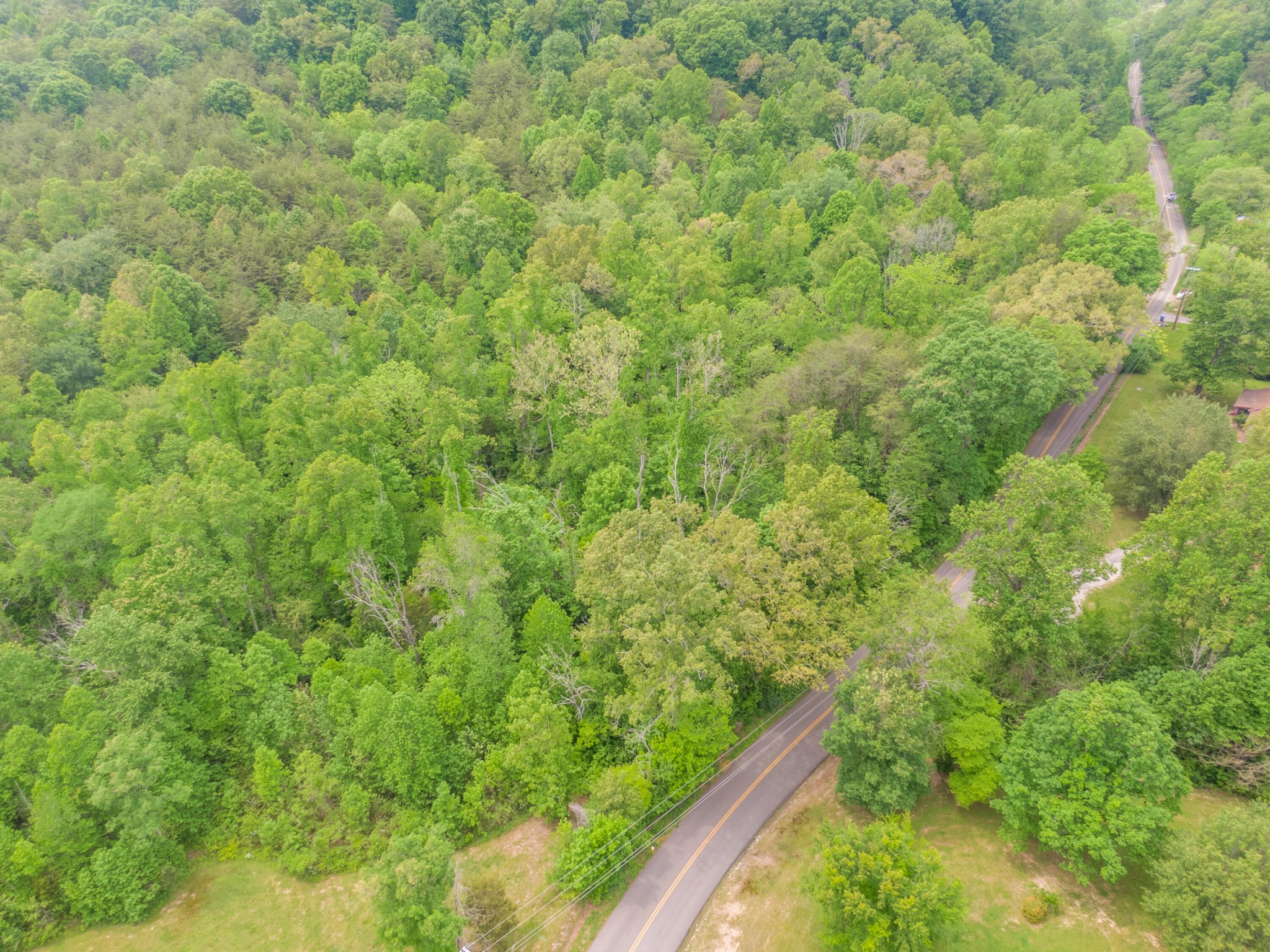 3537 Shipe Road Corryton, TN 37721 - Photo 7 of 7 a view of a forest with a bench and trees