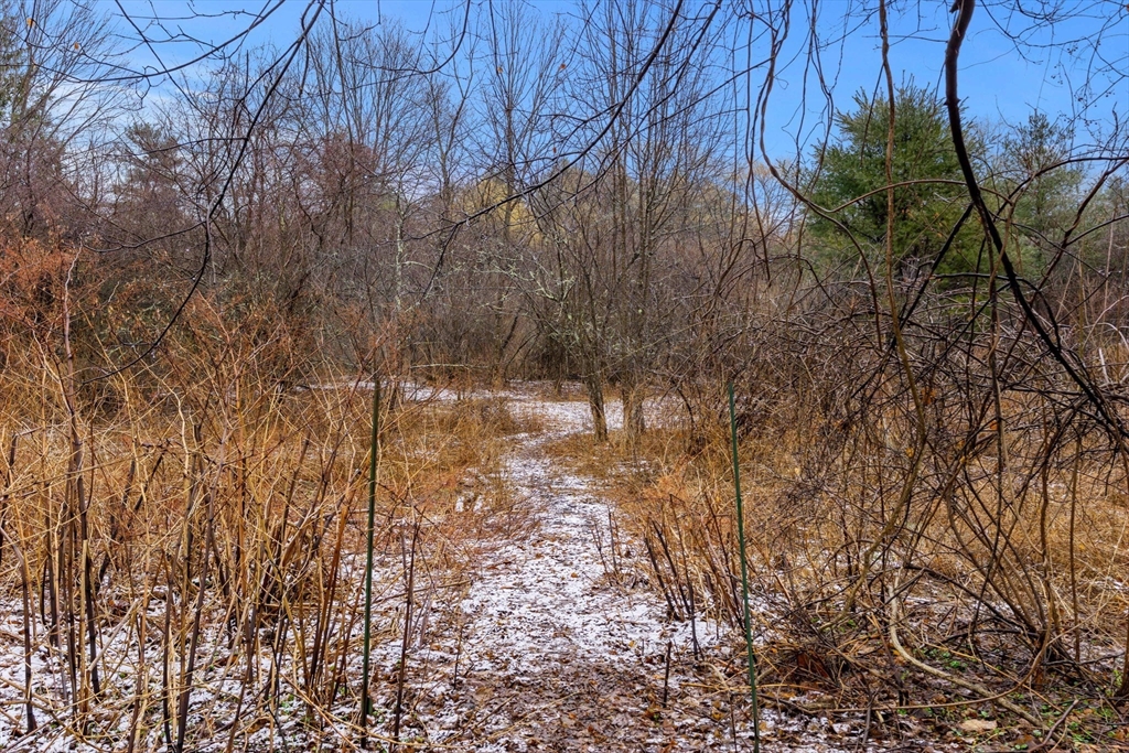 104 Mill Street Groton, MA 01450 - Photo 29 of 30 a backyard of a house with lots of green space