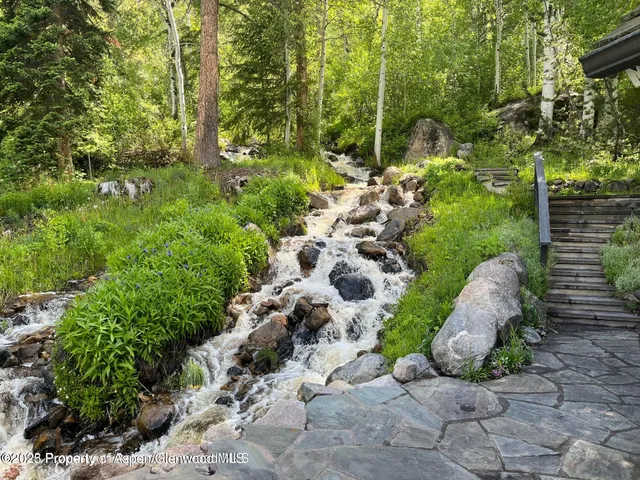 a view of a garden with large trees