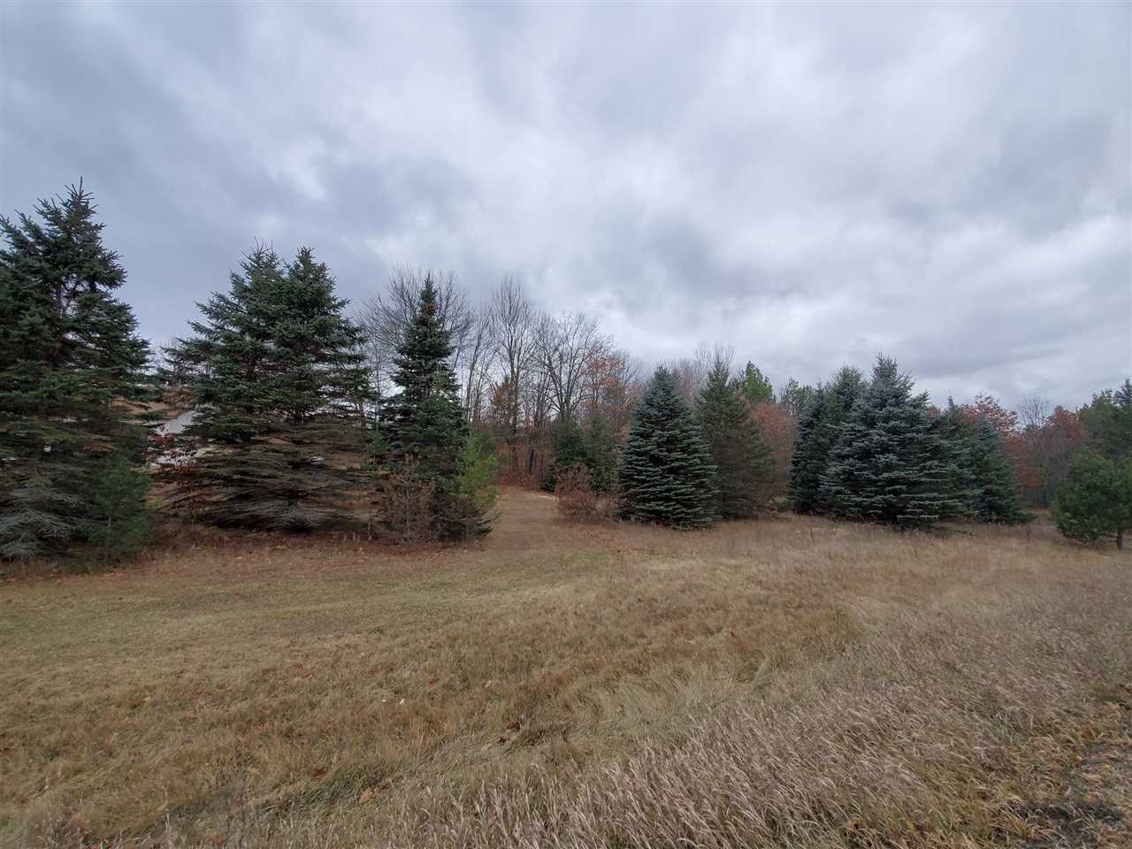3655 North Dickerson Road Manton, MI 49663 - Photo 25 of 25 1882473-24.JPG
