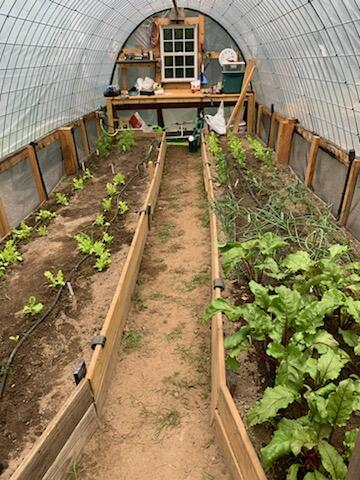 304 Whitehouse Road West Newfield, ME 04095 - Photo 32 of 60 Greenhouse conveys!
