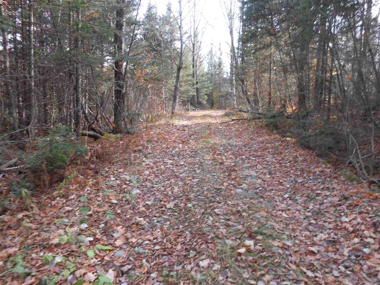 0 West Wheelock Road Lyndonville, VT 05851 - Photo 1 of 1 Gallery Image 1