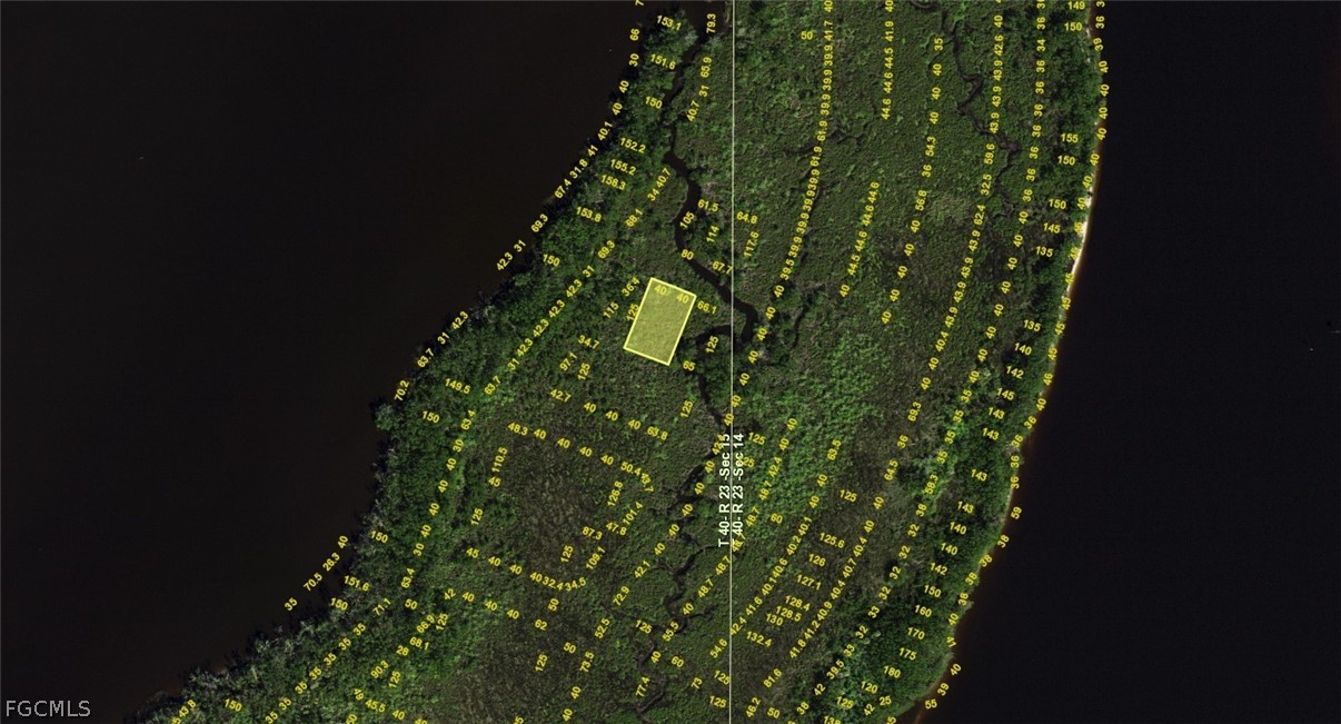 27515 Largo Street Punta Gorda, FL 33980 - Photo 2 of 3 a close up of a plant