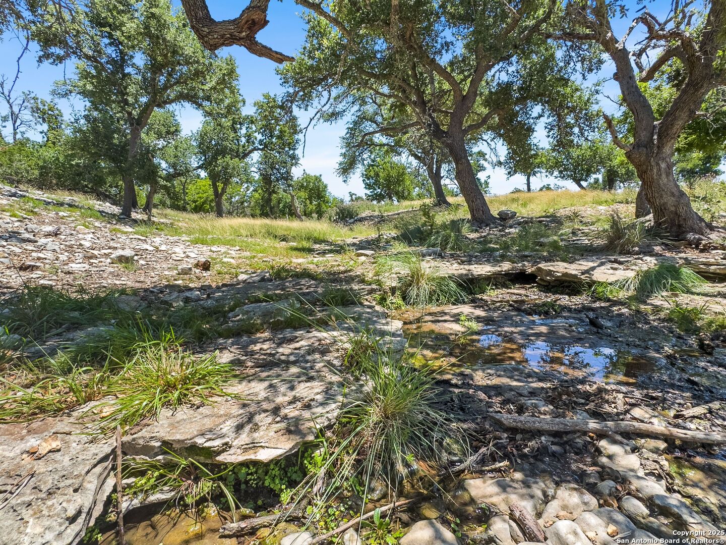 4369 Reeh-Weinheimer Road Fredericksburg, TX 78624 - Photo 75 of 80