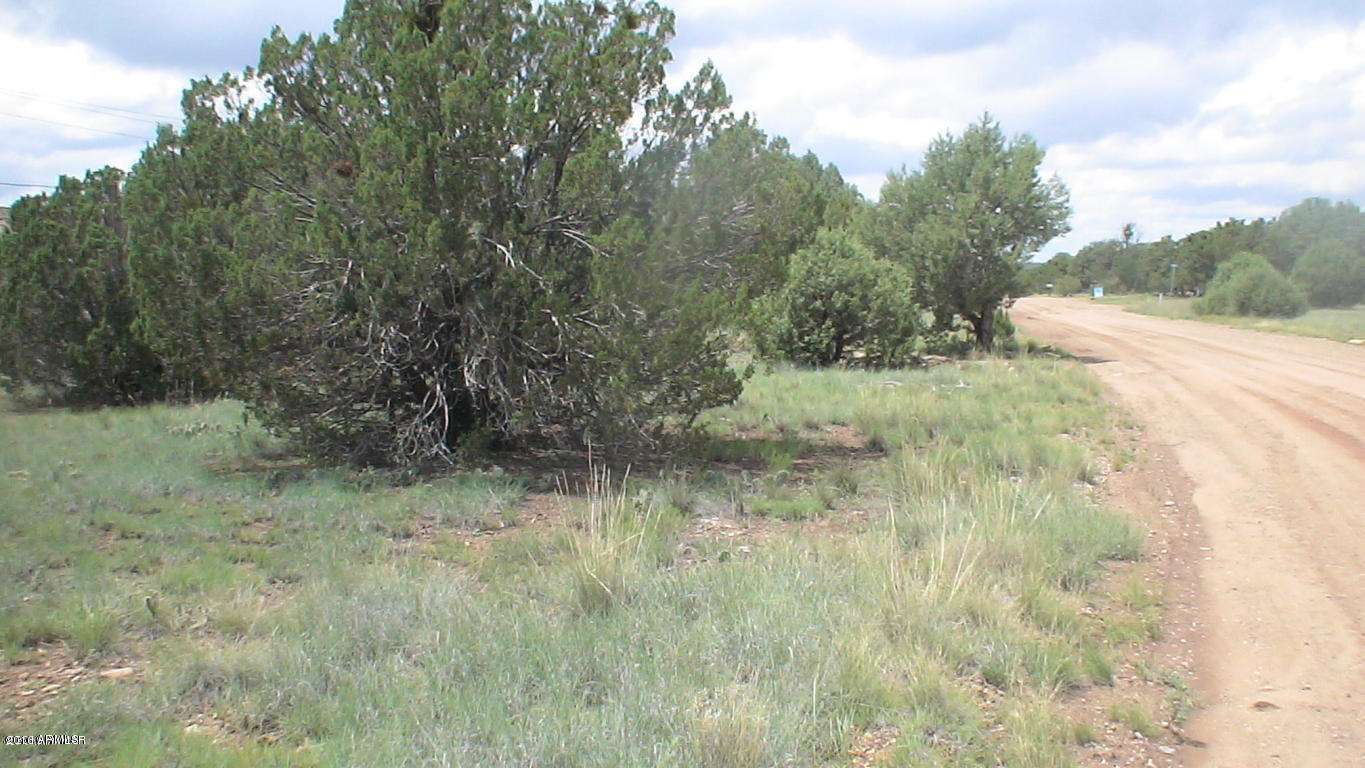 8393 Ridge Drive, Unit 1 Show Low, AZ 85901 - Photo 1 of 9 The Perfect Getaway Location