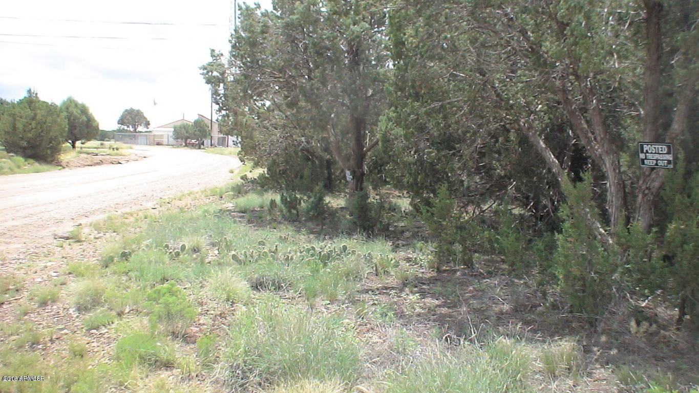 8393 Ridge Drive, Unit 1 Show Low, AZ 85901 - Photo 2 of 9 Maintained Roads