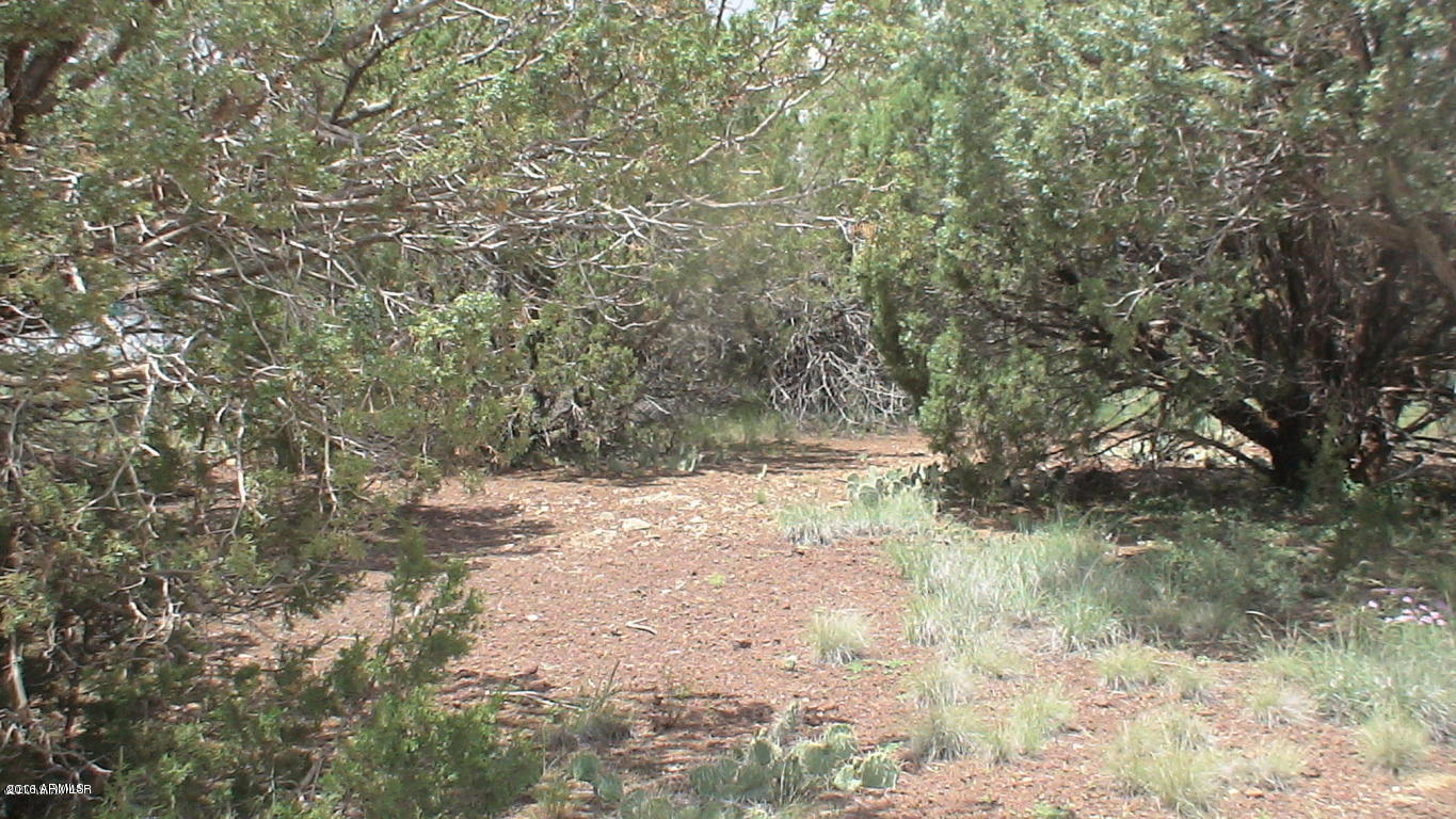 8393 Ridge Drive, Unit 1 Show Low, AZ 85901 - Photo 3 of 9 Vacant Lot