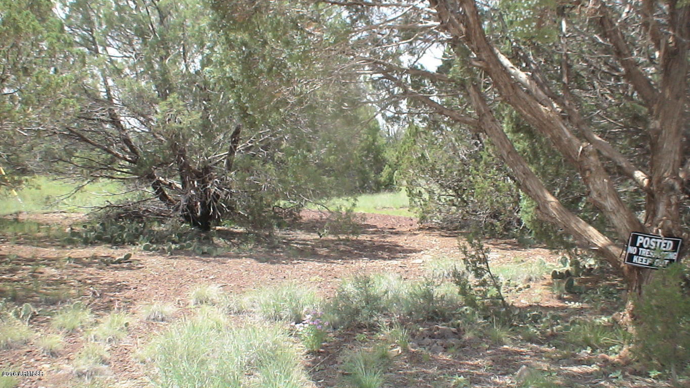 8393 Ridge Drive, Unit 1 Show Low, AZ 85901 - Photo 4 of 9 .24 acre