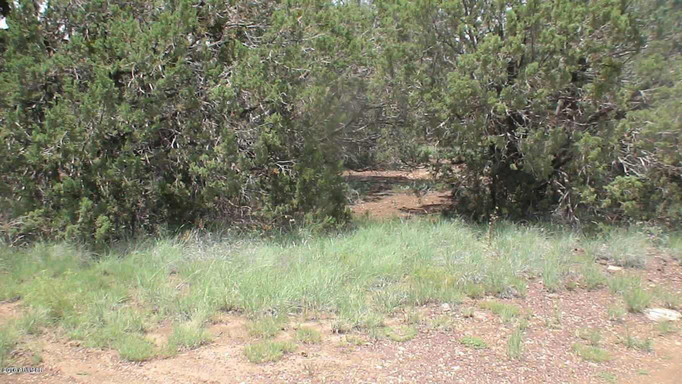 8393 Ridge Drive, Unit 1 Show Low, AZ 85901 - Photo 5 of 9 Build to Suit