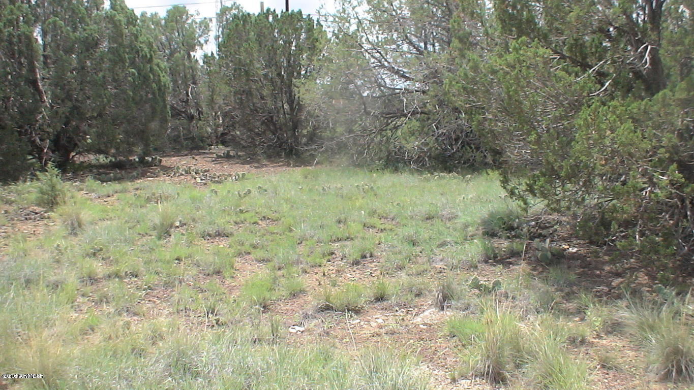 8393 Ridge Drive, Unit 1 Show Low, AZ 85901 - Photo 6 of 9 Driving Distance to Town