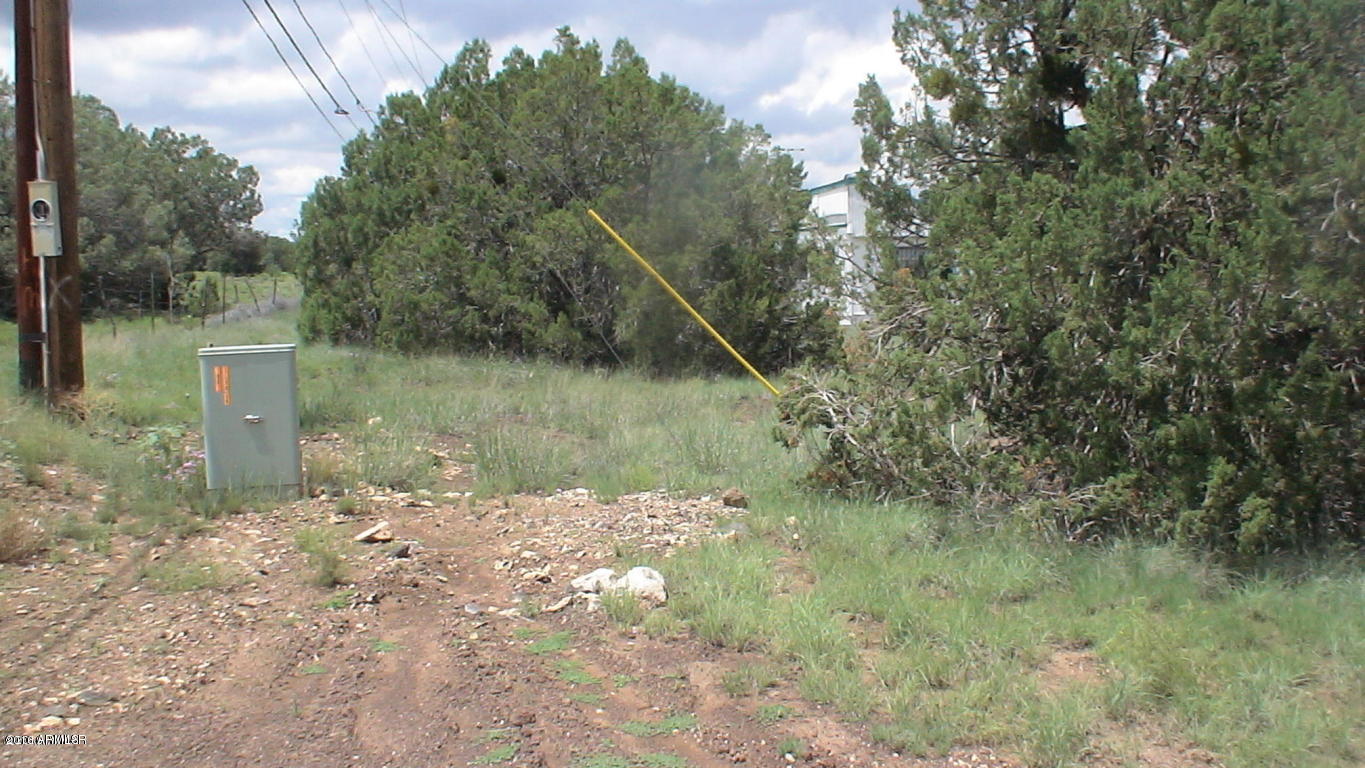 8393 Ridge Drive, Unit 1 Show Low, AZ 85901 - Photo 7 of 9 Buyer to Verify Utilities