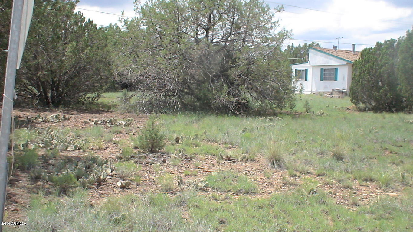 8393 Ridge Drive, Unit 1 Show Low, AZ 85901 - Photo 8 of 9 Enjoy Peace & Quiet