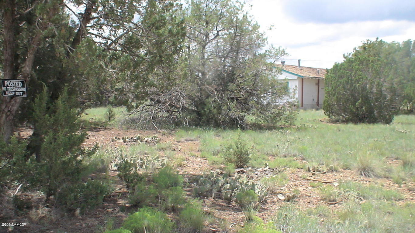 8393 Ridge Drive, Unit 1 Show Low, AZ 85901 - Photo 9 of 9 The Perfect Getaway Location