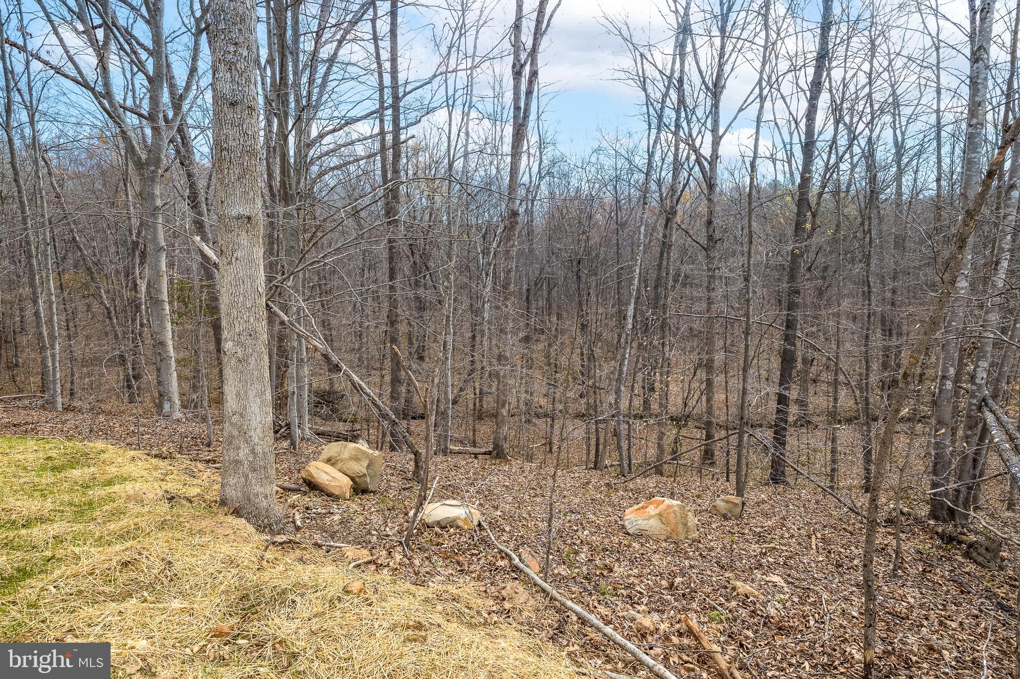 11117 Eggbornsville Road Rixeyville, VA 22737 - Photo 69 of 76 Rear Yard