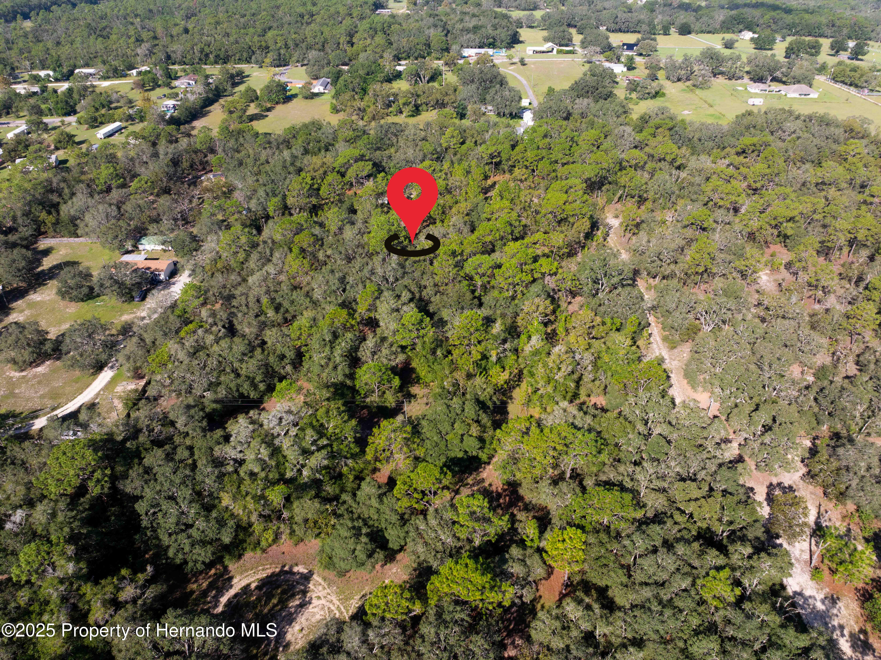 0 Cart Path Brooksville, FL 34602 - Photo 8 of 12