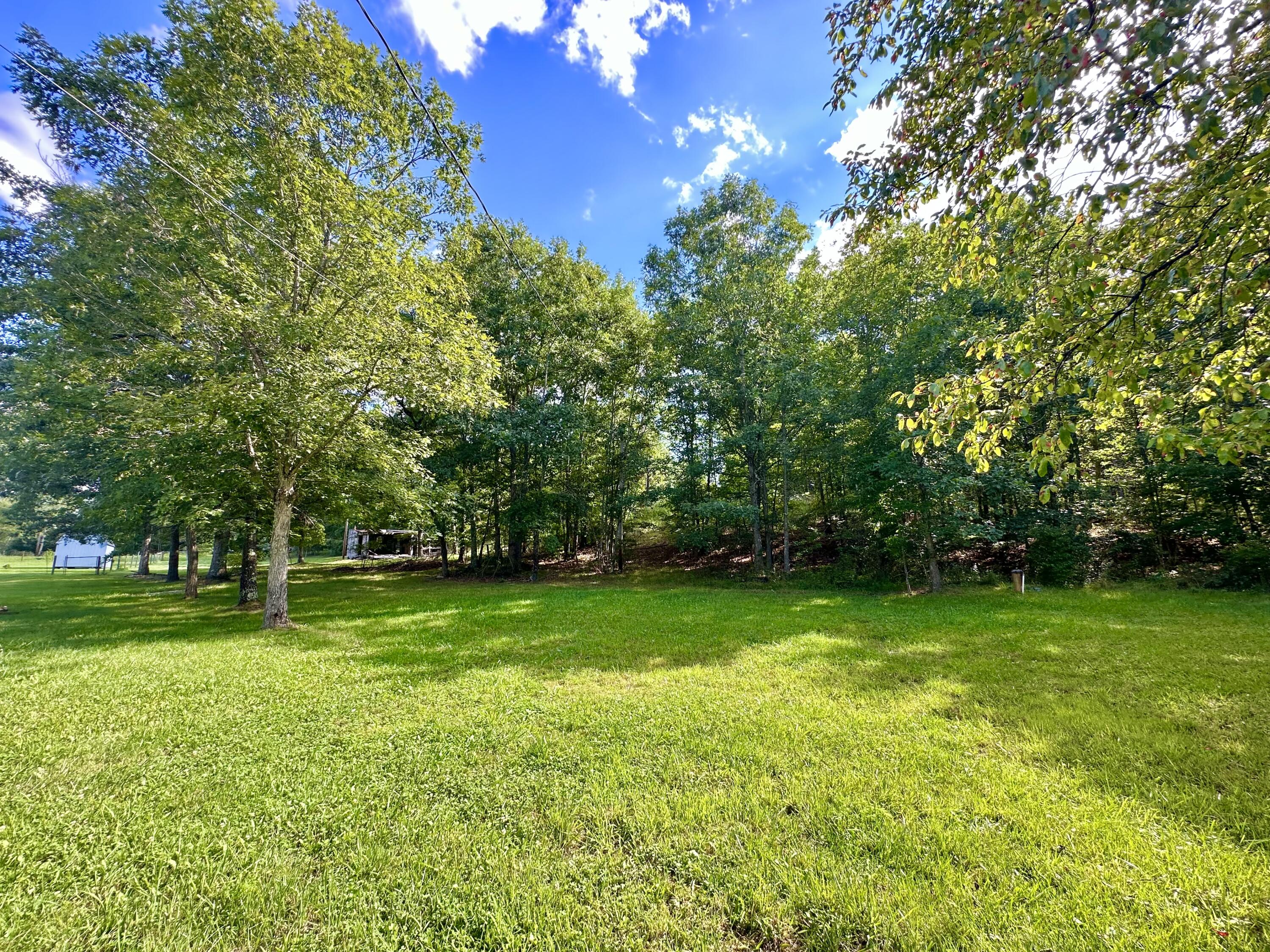 5703 Bens Run Road Covington, VA 24426 - Photo 6 of 35 IMG_7082