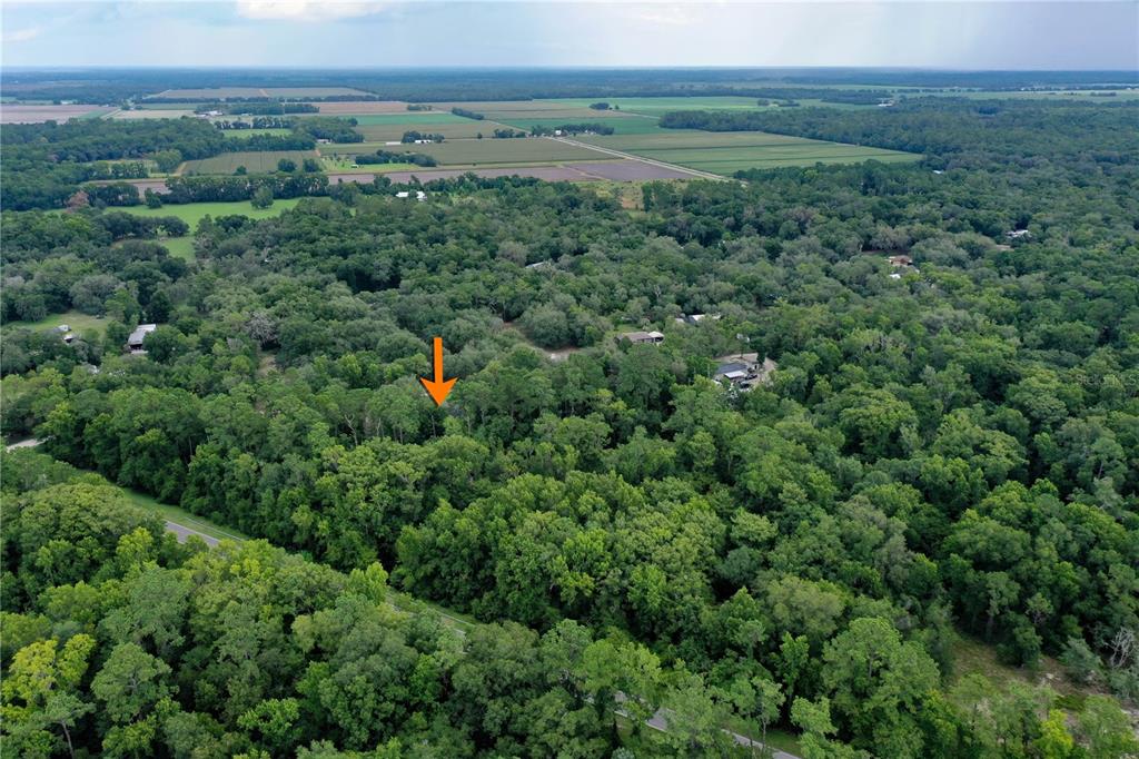 113 Kent Estate Road Elkton, FL 32033 - Photo 70 of 75 Gallery Image 70