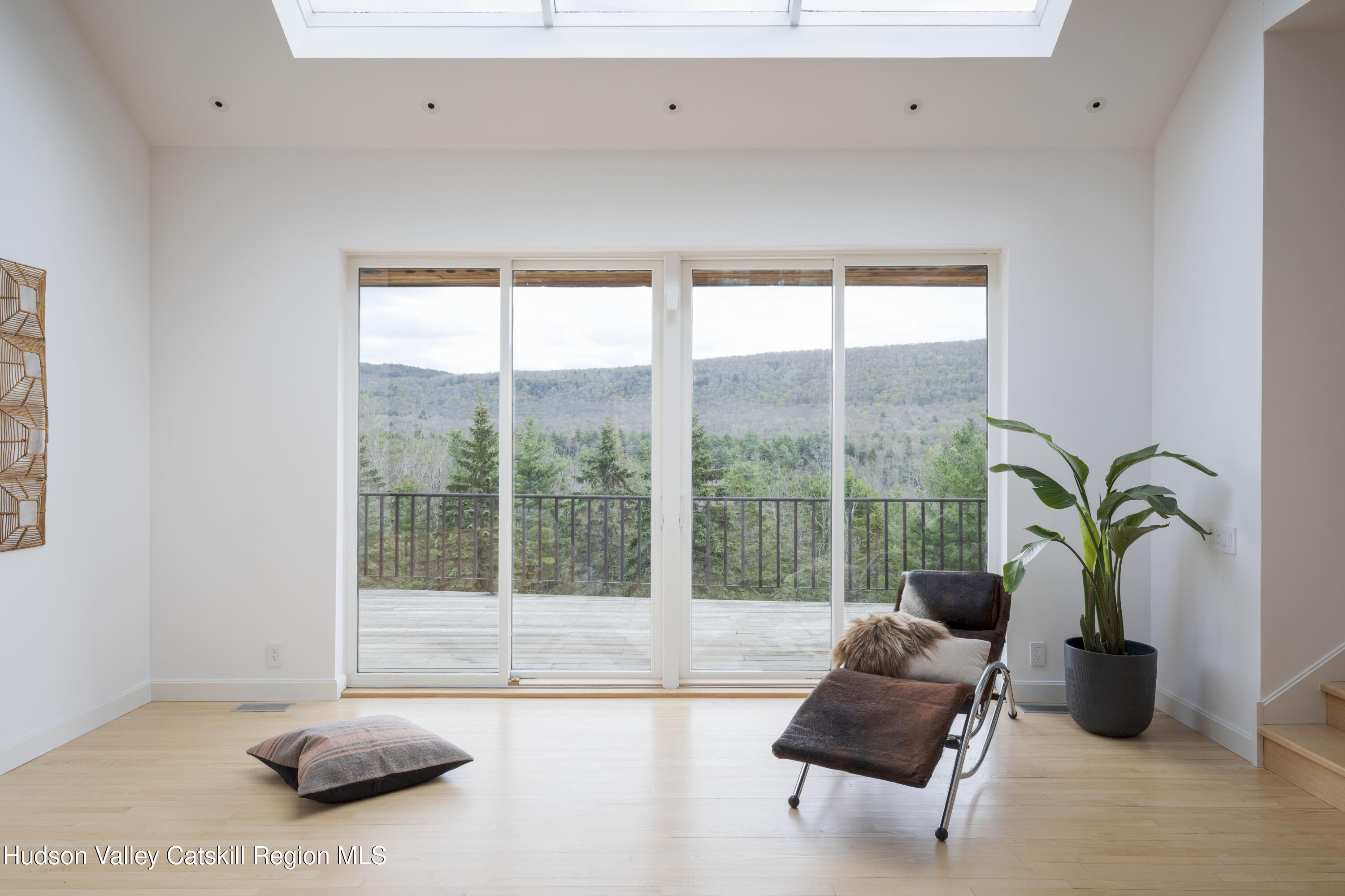 12 Jacob Strasse Road Windham, NY 12496 - Photo 8 of 54 a living room with furniture and a potted plant