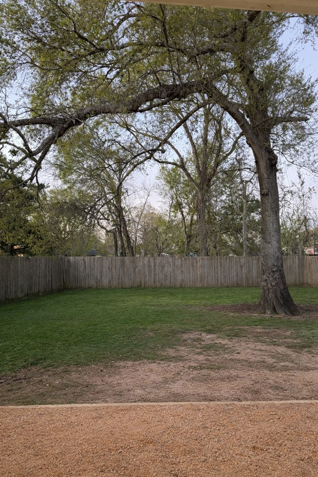 403 4th Street Humble, TX 77338 - Photo 14 of 15 Grand backyard
