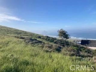 a view of a bunch of trees in a field