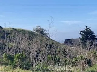 a view of a lush green space with sea