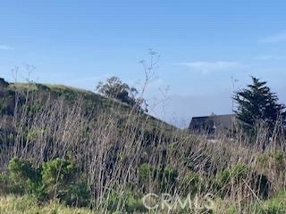 588 Chaney Avenue Cayucos, CA 93430 - Photo 4 of 6 a view of a lush green space with sea