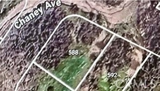 588 Chaney Avenue Cayucos, CA 93430 - Photo 6 of 6 a close up of a plant