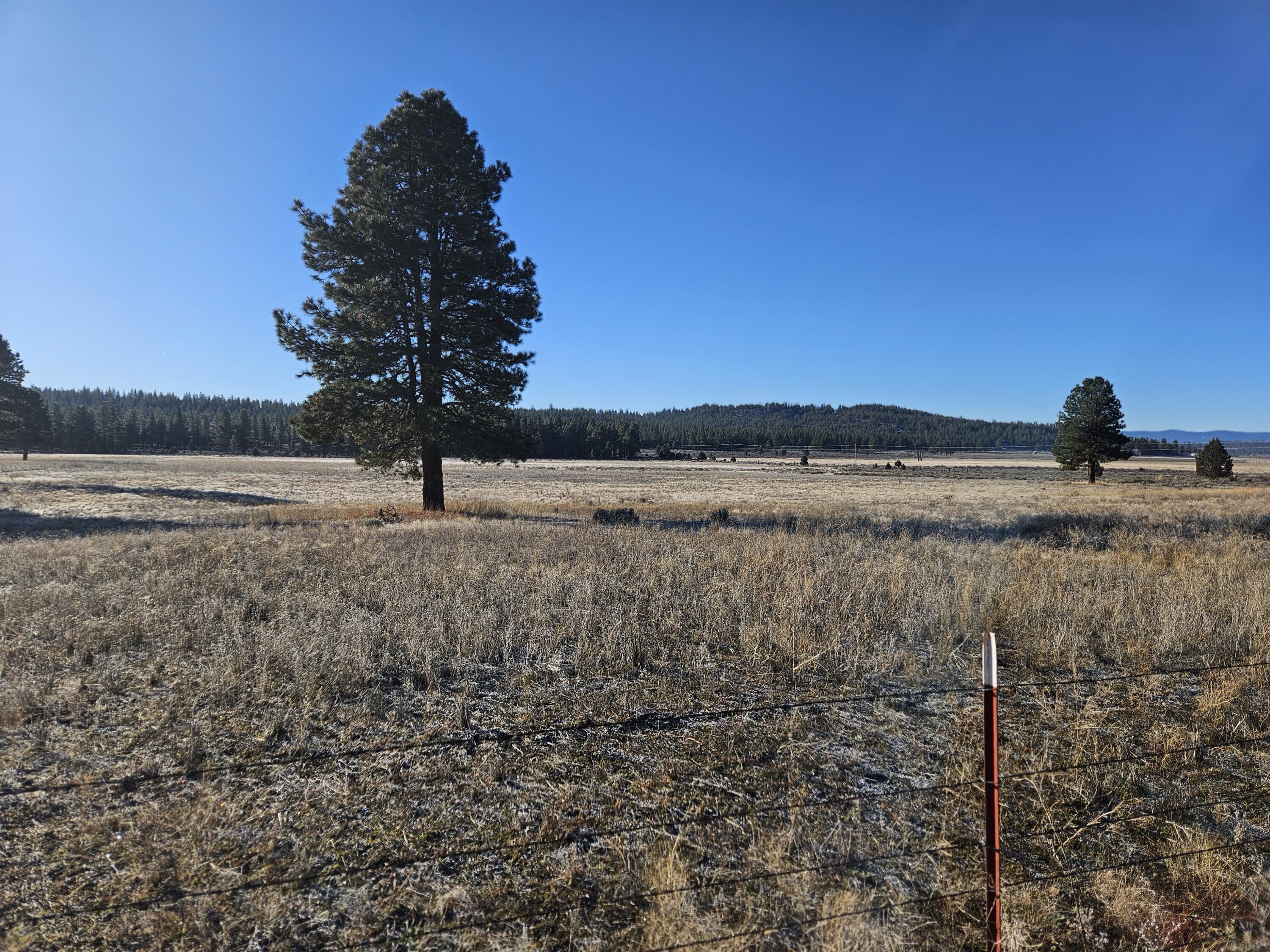 31747 Godowa Springs Road Beatty, OR 97621 - Photo 6 of 23 20260117_093758