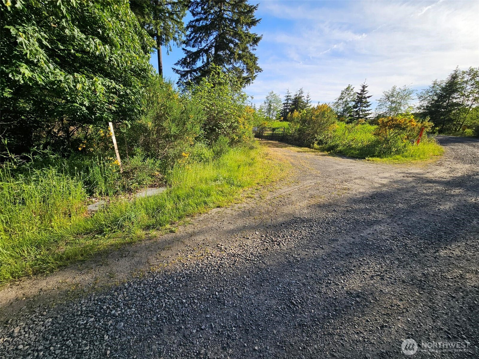 5033 Polehn Road Southwest Rochester, WA 98579 - Photo 12 of 15 a view of a yard with plants and a trees
