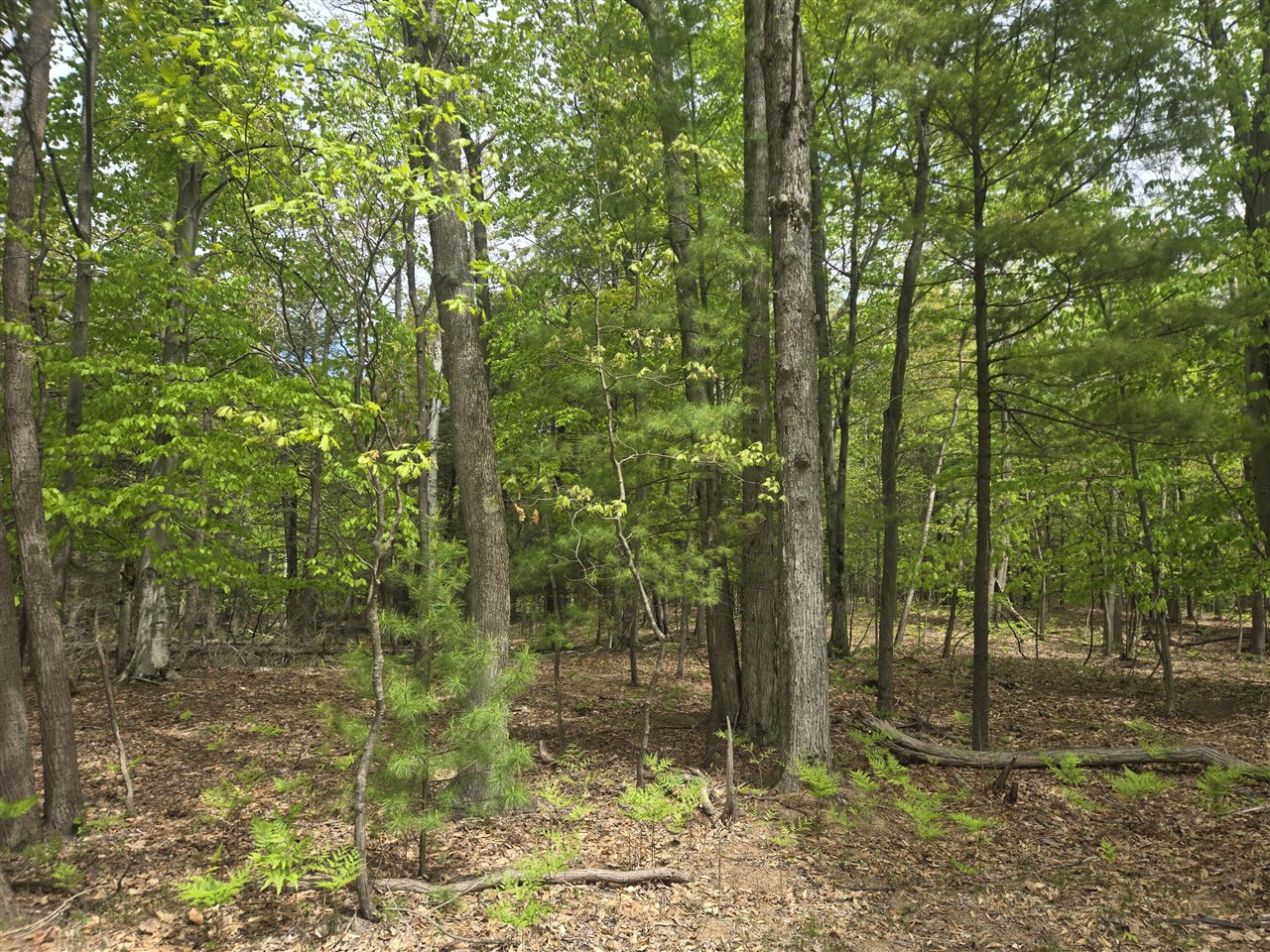 Vl North Ridge Road Pentwater, MI 49449 - Photo 2 of 8