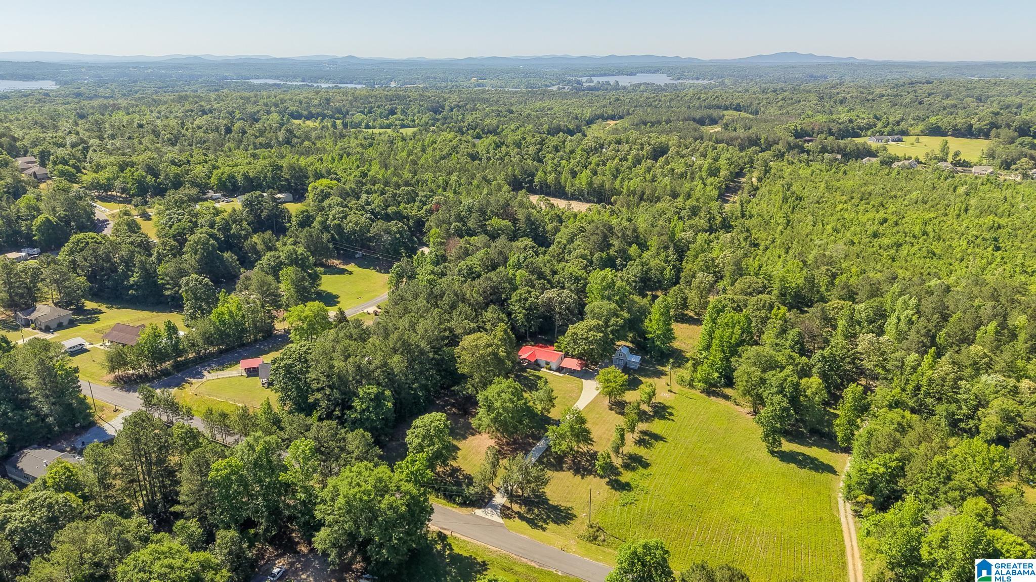 242 Deerfield Road Pell City, AL 35125 - Photo 40 of 41