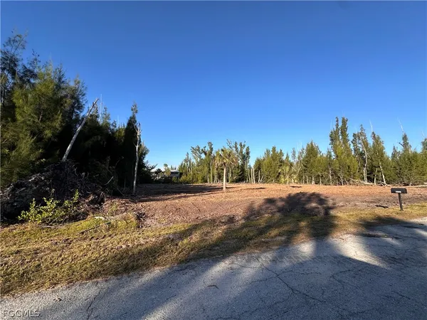 a view of dirt yard with a large tree